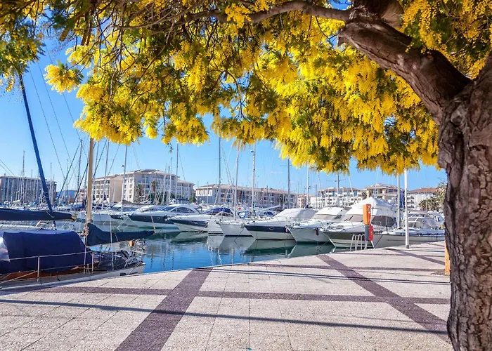 Select\'Sohome - Superbe Appartement Pour 4 Personnes A Deux Pas De La Plage Et Des Commerces De La Faviere ! - Iloa-B01