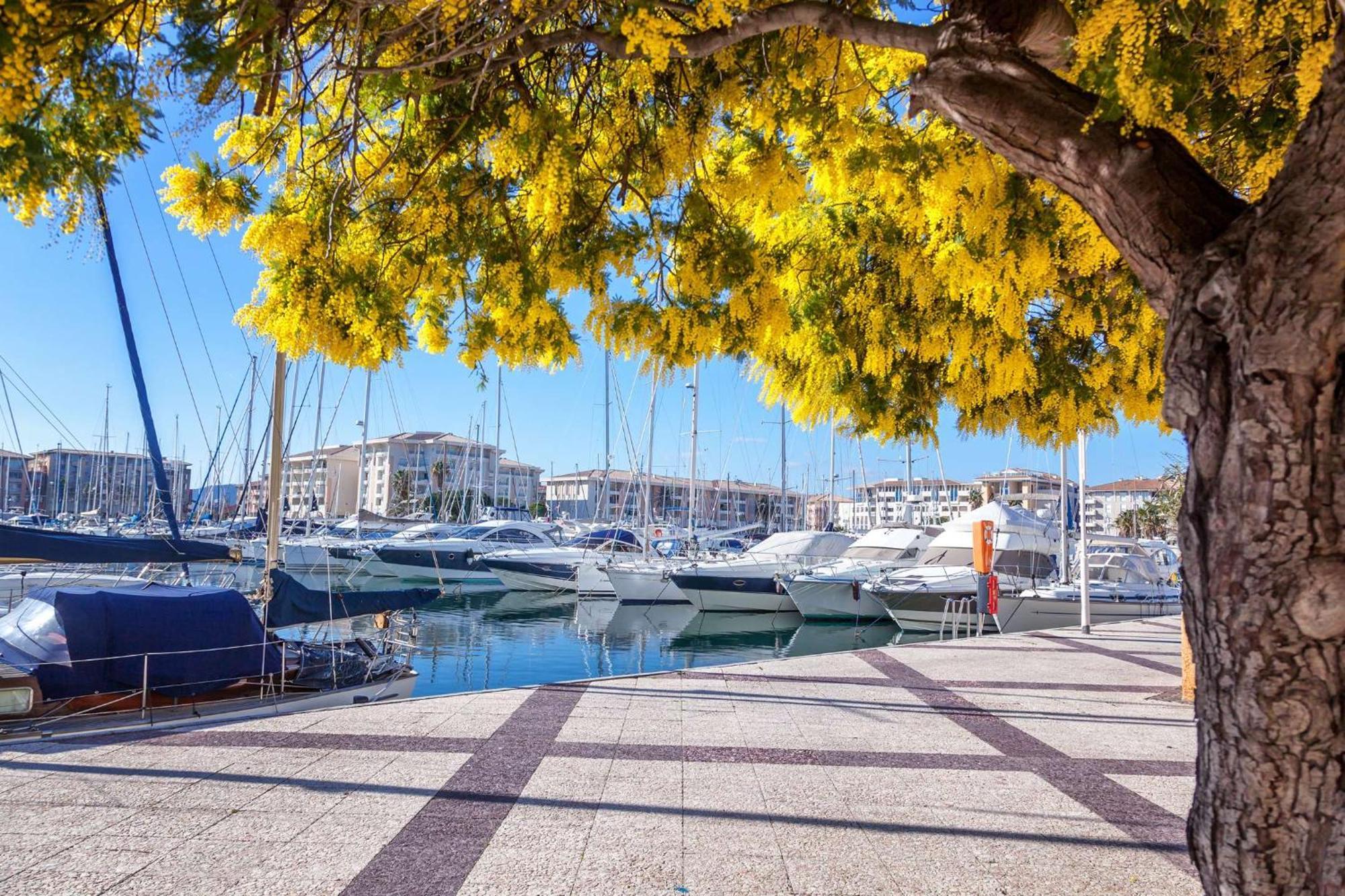 Select'sohome - Superbe Pour 4 Personnes A Deux Pas De La Et Des Commerces De La Faviere ! - Iloa-b01 Bormes-les-Mimosas